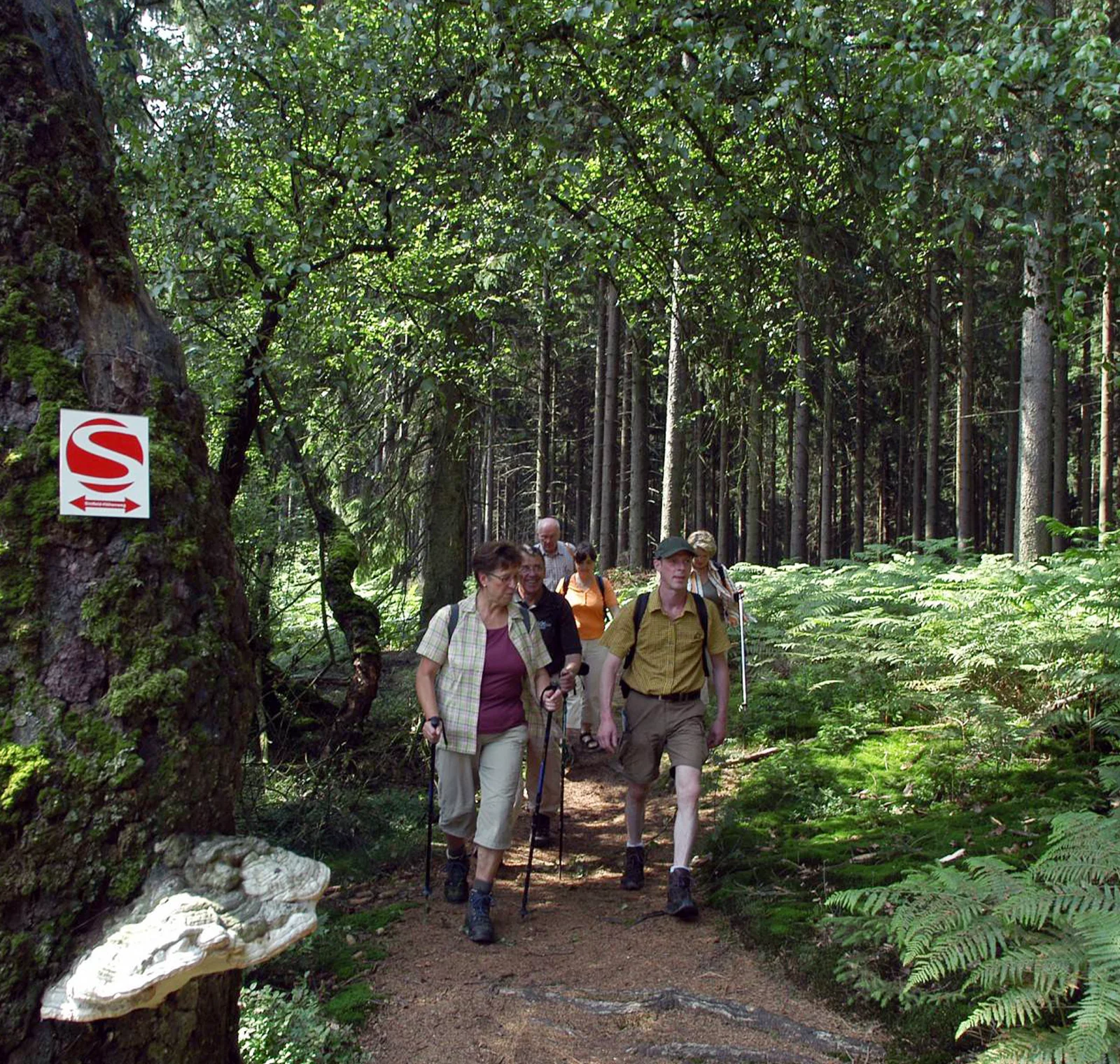  Sintfeld-Höhenweg – Rundwanderweg