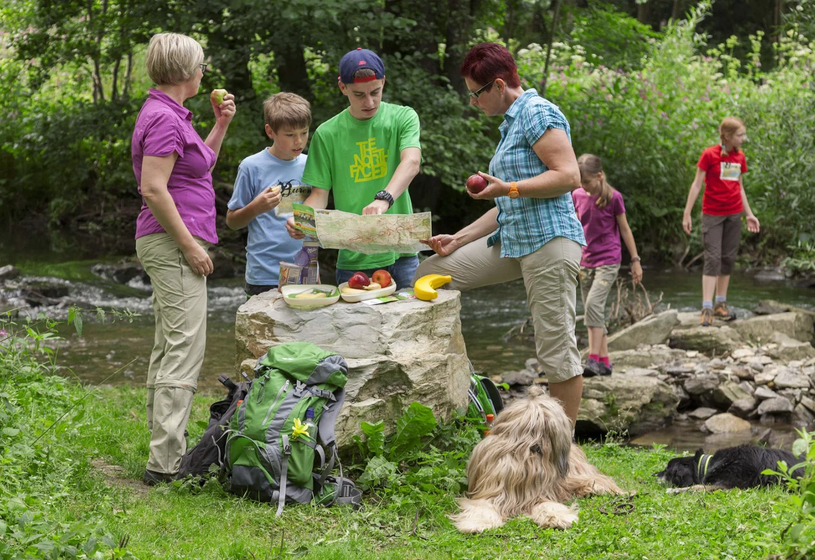 Sintfeld-Höhenweg – Rundwanderweg
