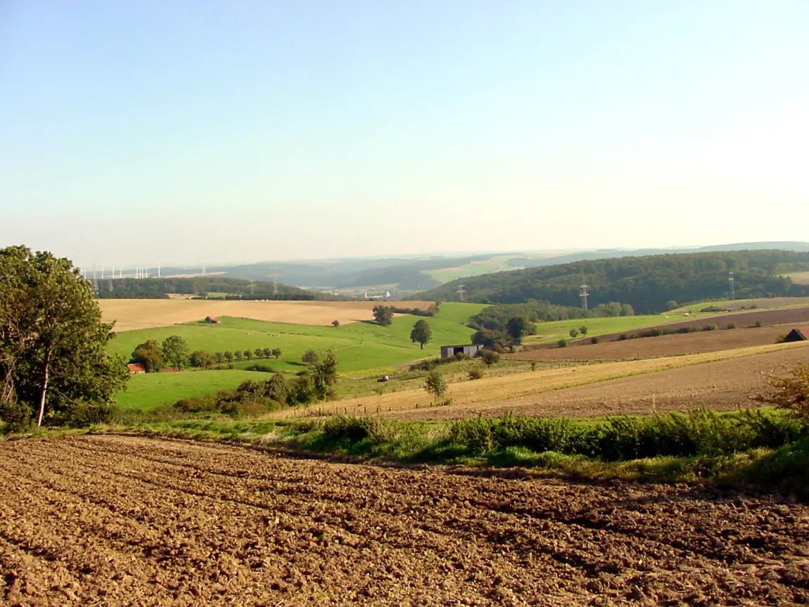 sintfeld höhenweg wanderweg Wegeschleife a